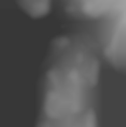 Member Image