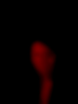 Member Image