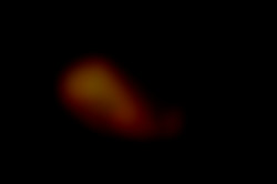 Member Image