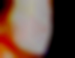 Member Image