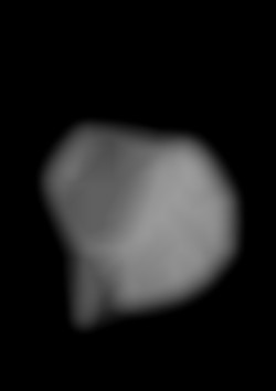 Member Image