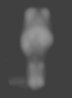 Member Image