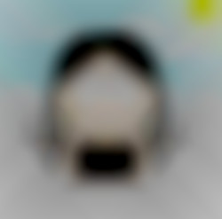 Member Image