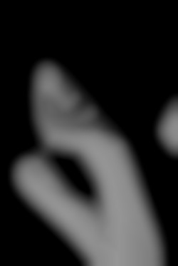 Member Image