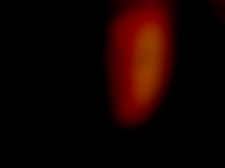 Member Image