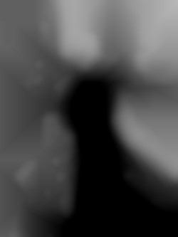 Member Image
