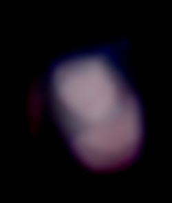 Member Image