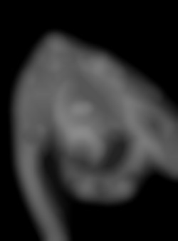 Member Image