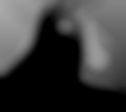 Member Image