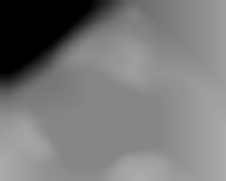 Member Image