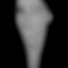 miss j dark