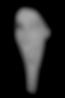 Member Image