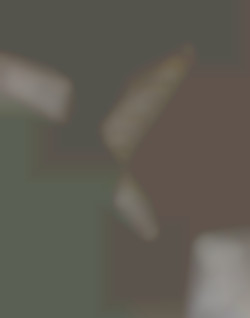 Member Image