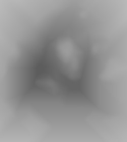 Member Image
