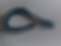 Member Image