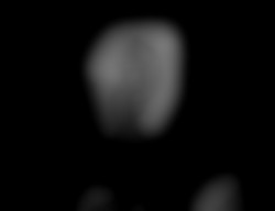 Member Image