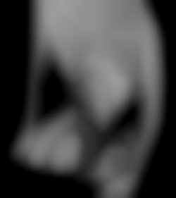 Member Image