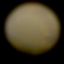 Member Image
