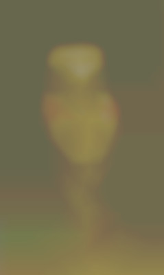 Member Image