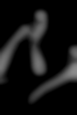 Member Image