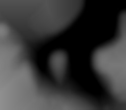 Member Image