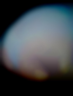 Member Image