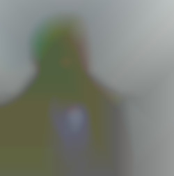 Member Image