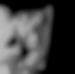 Member Image