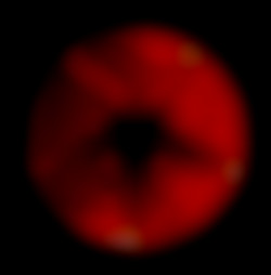 Member Image