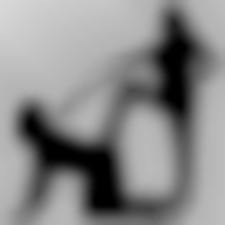 Member Image