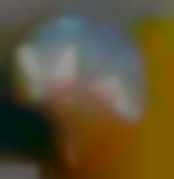 Member Image