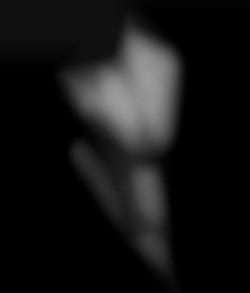Member Image