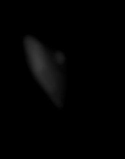 Member Image
