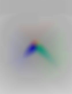 Member Image