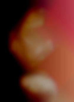 Member Image
