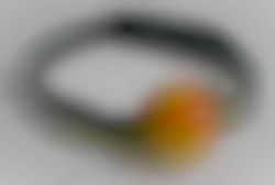 Member Image