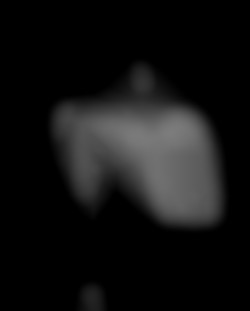 Member Image