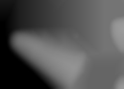 Member Image