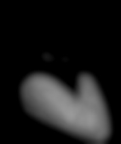Member Image