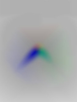 Member Image