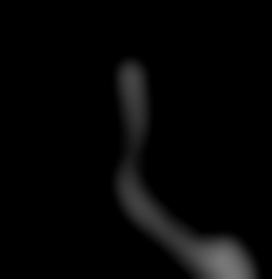 Member Image