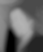 Member Image