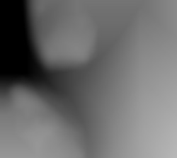 Member Image