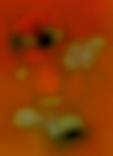 Member Image