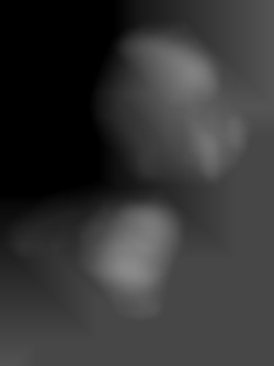 Member Image