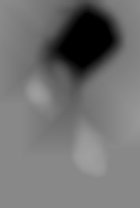 Member Image