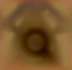 Member Image