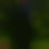 HerrinSonne