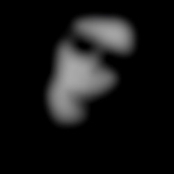 Member Image