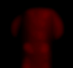 Member Image